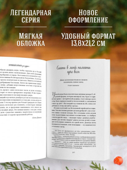 Куриный бульон для души. Дух Рождества. 101 история о самом чудесном времени в году