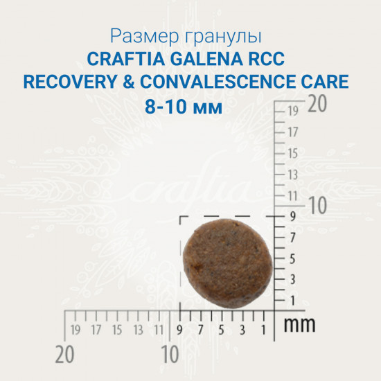 Сухой корм для кошек в период реабилитации «Recovery & Convalescence care»