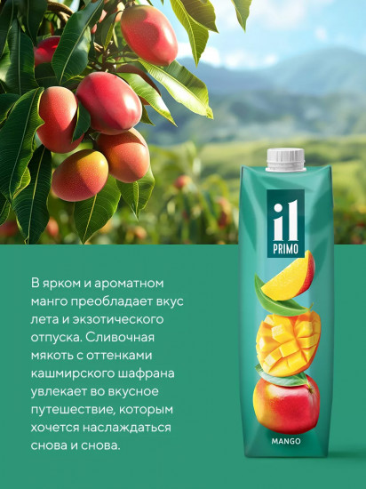 Нектар манговый с мякотью
