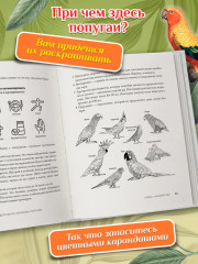 Код стройности и долголетия, или Восемь попугаев - Фото 6