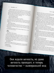 Улей - Фото 6