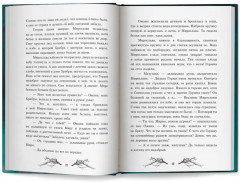 Ведьмино зеркальце - Фото 11