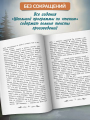 В прекрасном и яростном мире - Фото 3