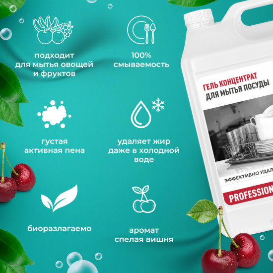 Гель-концентрат для мытья посуды «Professional»