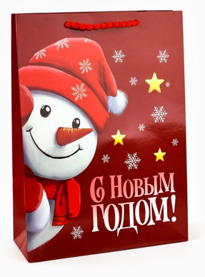 Пакет подарочный «Новогодняя сказка»