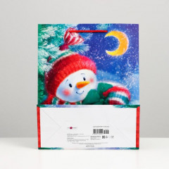 Пакет подарочный «Снеговик с подарком» - Фото 1