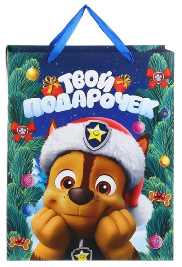 Пакет подарочный»