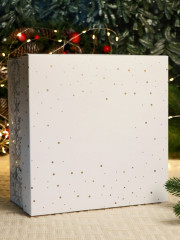 Набор шаров елочных «Зимняя композиция» - Фото 4