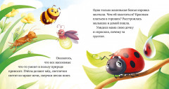 Любознательный малыш. Приключения букашек - Фото 5