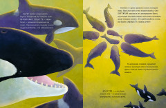 Маленький кит. Приключения в океане - Фото 2