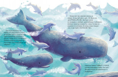 Маленький кит. Приключения в океане - Фото 4