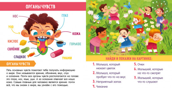 Моё тело