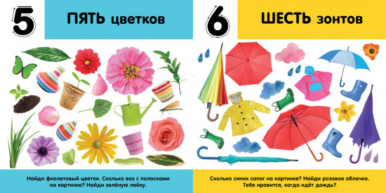 Цифры