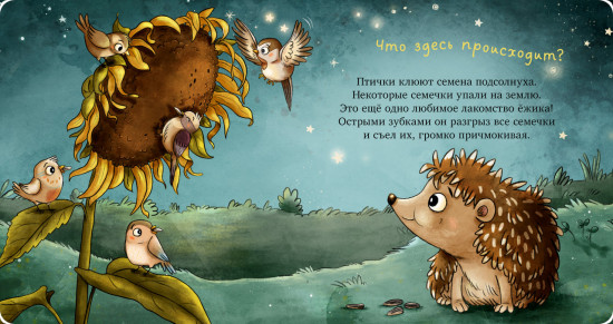 Ёжик в саду. Первая книга малыша о природе