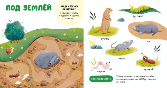 Прогулки по лесу