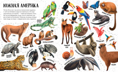 Приключения улитки Элли в мире животных - Фото 3