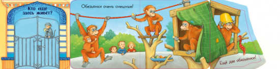 Ку-ку! Кто в зоопарке?