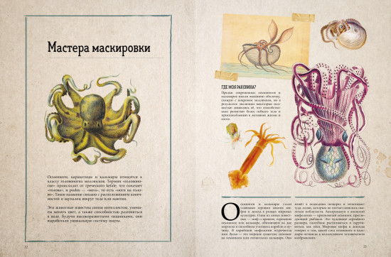 Морские сокровища