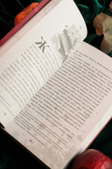 Осень. Латте. Любовь - Фото 11