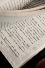 Осень. Латте. Любовь - Фото 12