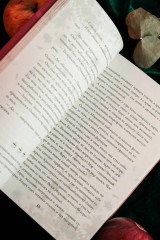 Осень. Латте. Любовь - Фото 13