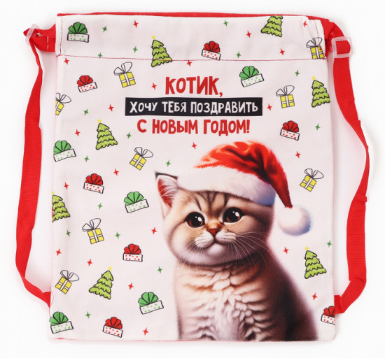 Рюкзак-мешок детский «Котик в шапке»