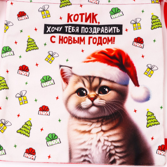Рюкзак-мешок детский «Котик в шапке»
