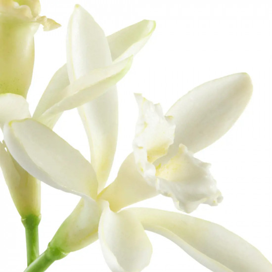 Духи «All or Nothing»