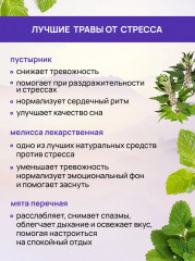 Чай успокаивающий для сна, травяной с мелиссой и мятой - Фото 5