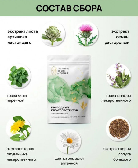 Чай желчегонный для печени, очищающий травяной сбор для печени