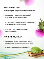 Чай желчегонный для печени, очищающий травяной сбор для печени - Фото 5
