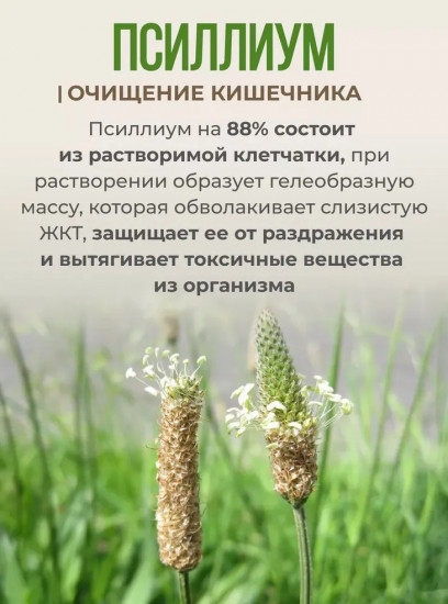 Псиллиум