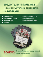Петуния. Цветок с характером. Шпаргалка-трекер по выращиванию цветочных водопадов - Фото 6