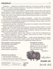 Животные холодных широт. 16 демонстрационных картинок с текстом - Фото 3