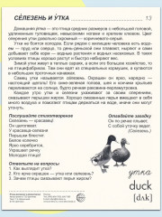 Птицы домашние и декоративные. 16 демонстрационных картинок с текстом - Фото 2