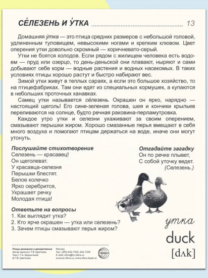 Птицы домашние и декоративные. 16 демонстрационных картинок с текстом