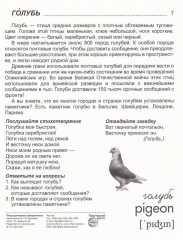 Птицы домашние и декоративные. 16 демонстрационных картинок с текстом - Фото 4
