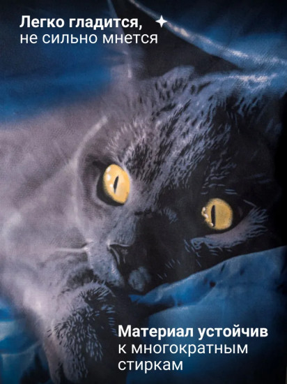 Комплект постельного белья «Британец»