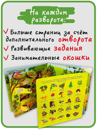 Я еду за город. Виммельбух с окошками