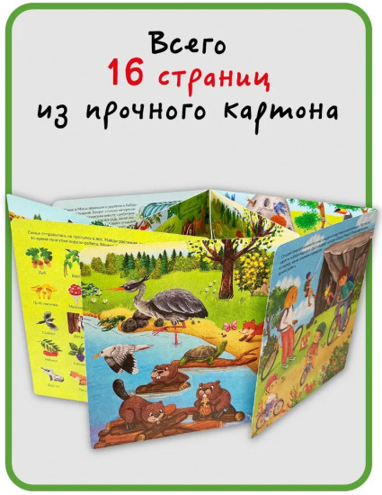 Я еду за город. Виммельбух с окошками