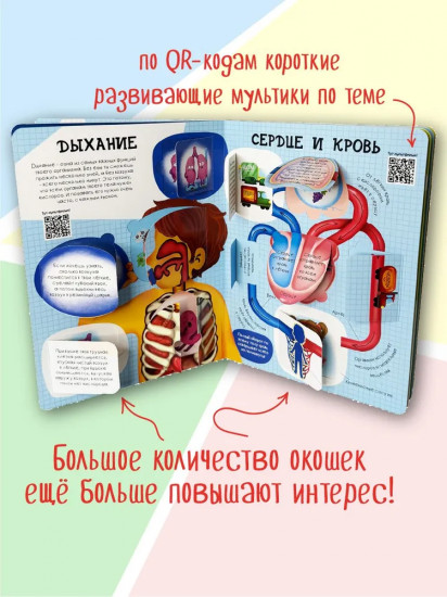 Как устроено твое тело. 54 окошка