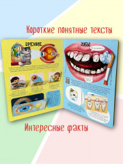 Как устроено твое тело. 54 окошка - Фото 3