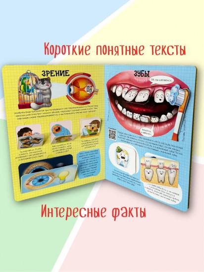 Как устроено твое тело. 54 окошка