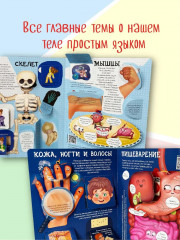 Как устроено твое тело. 54 окошка - Фото 4