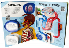Как устроено твое тело. 54 окошка - Фото 7