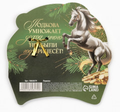 Подкова «Успеха в делах» - Фото 2