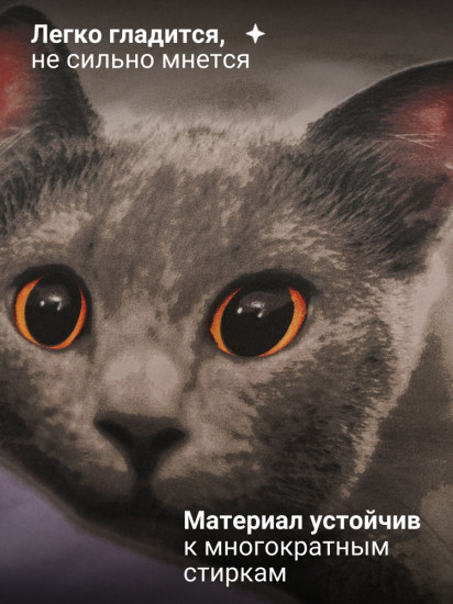 Комплект постельного белья «Серый котик»