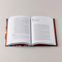 Дисгардиум. Книга 5. Священная война - Фото 7