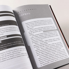 Дисгардиум. Книга 5. Священная война - Фото 9