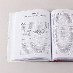 Проджект-менеджмент. Как быть профессионалом - Фото 5